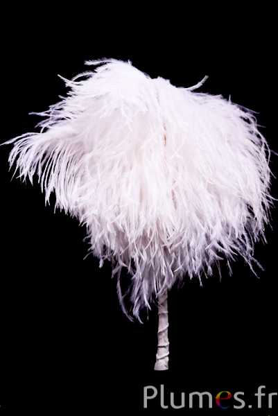 Plumet autruche - 8 plumes, hauteur 25 cm - blanc-creme